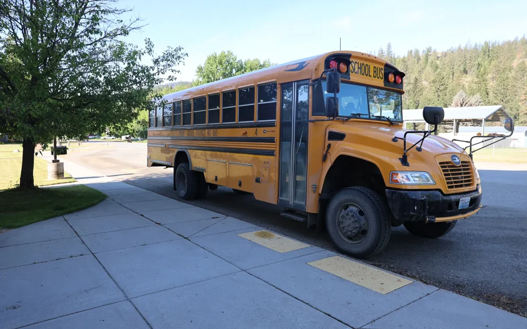 School Buses Surplus Sale